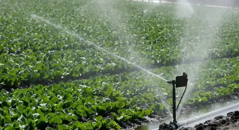 Water-irrigation-2636532196