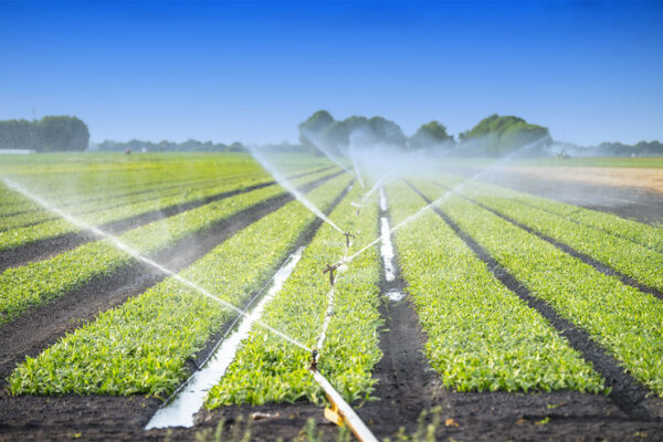 irrigation-services-in-arizona-southwest-irrigation-4160547112