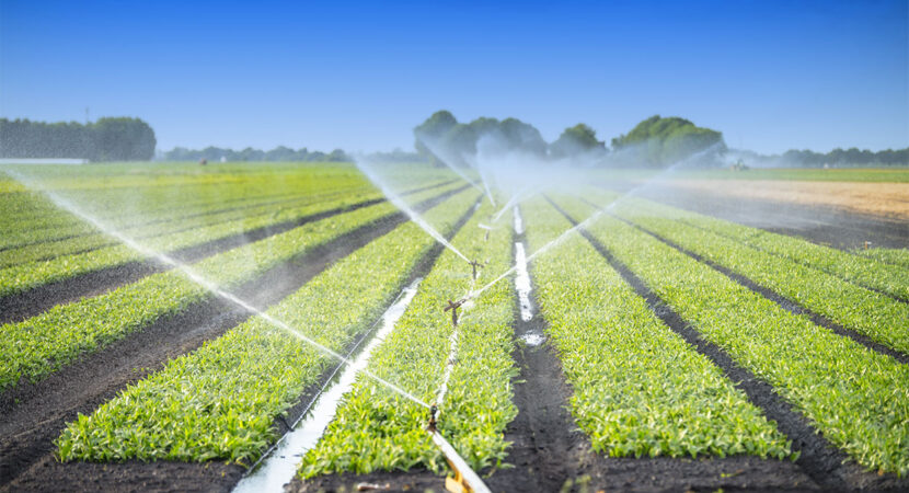 irrigation-services-in-arizona-southwest-irrigation-4160547112