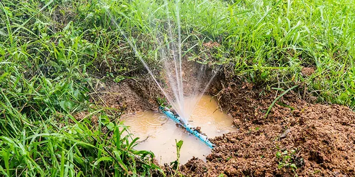 oasis-blog-need-irrigation-repairs-1264785015